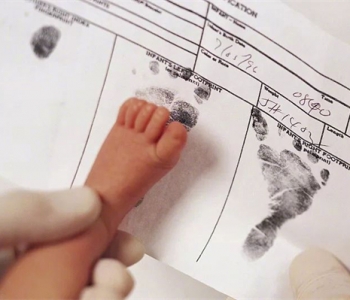 孕妇梦见鸭子什么意思，上海代怀孕梦到鸭子是生男还是生女？